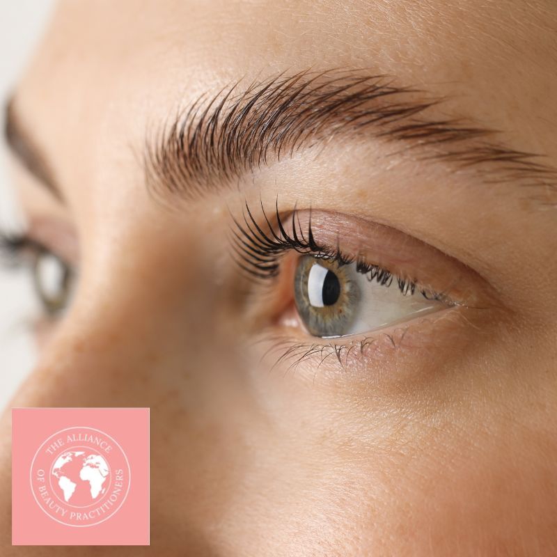 Eyebrow Lamination Course Manual