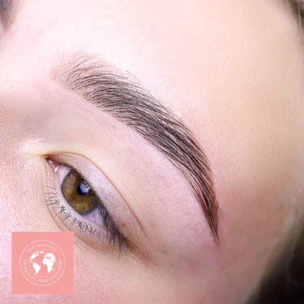 Close up of a model's eyebrow after it has been treated on an eyebrow lamination course